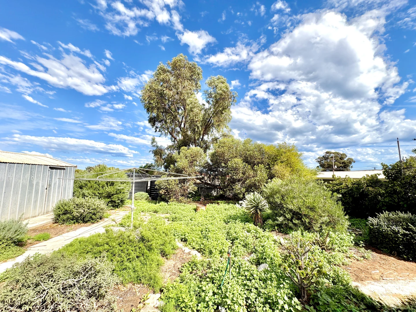 Additional image 16 of 18 Borlase Street, Ceduna SA 5690