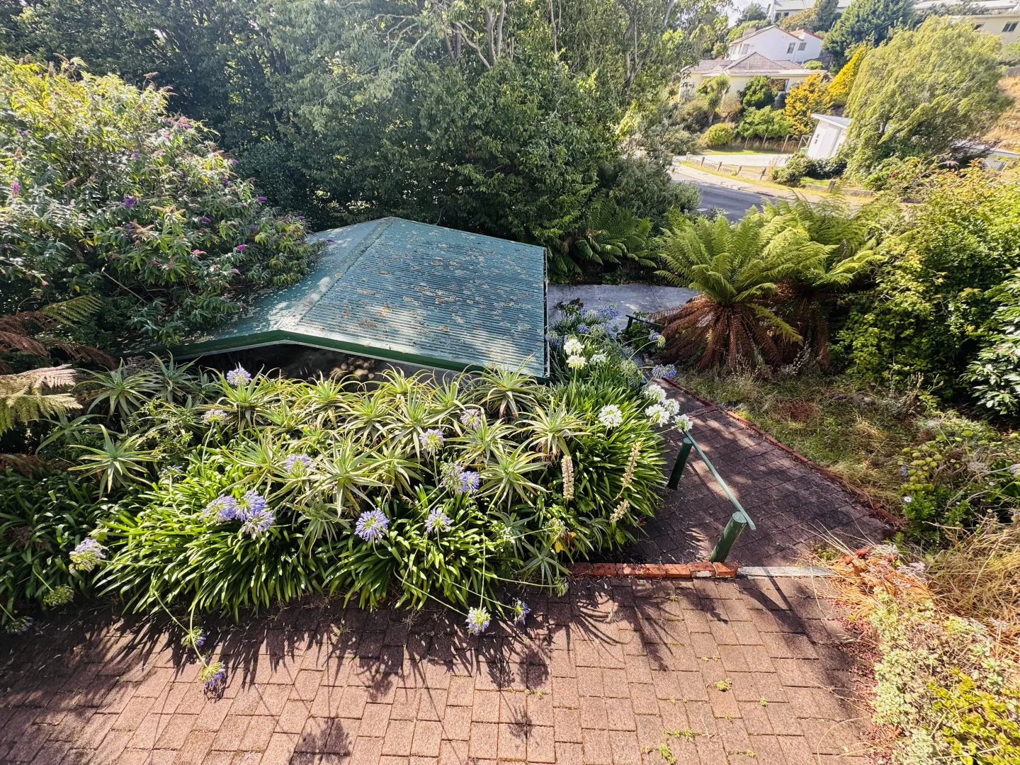 Image 15