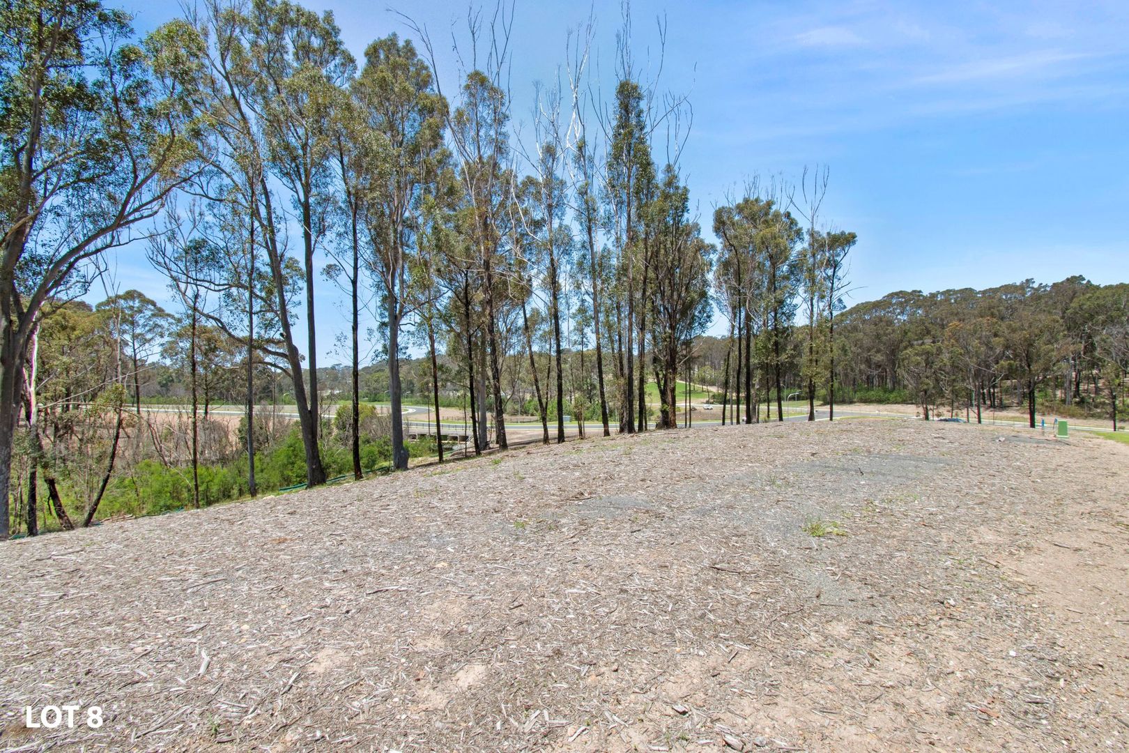 Lot 8 Hoodle Place "Saltwood Estate", Rosedale NSW 2536, Image 2