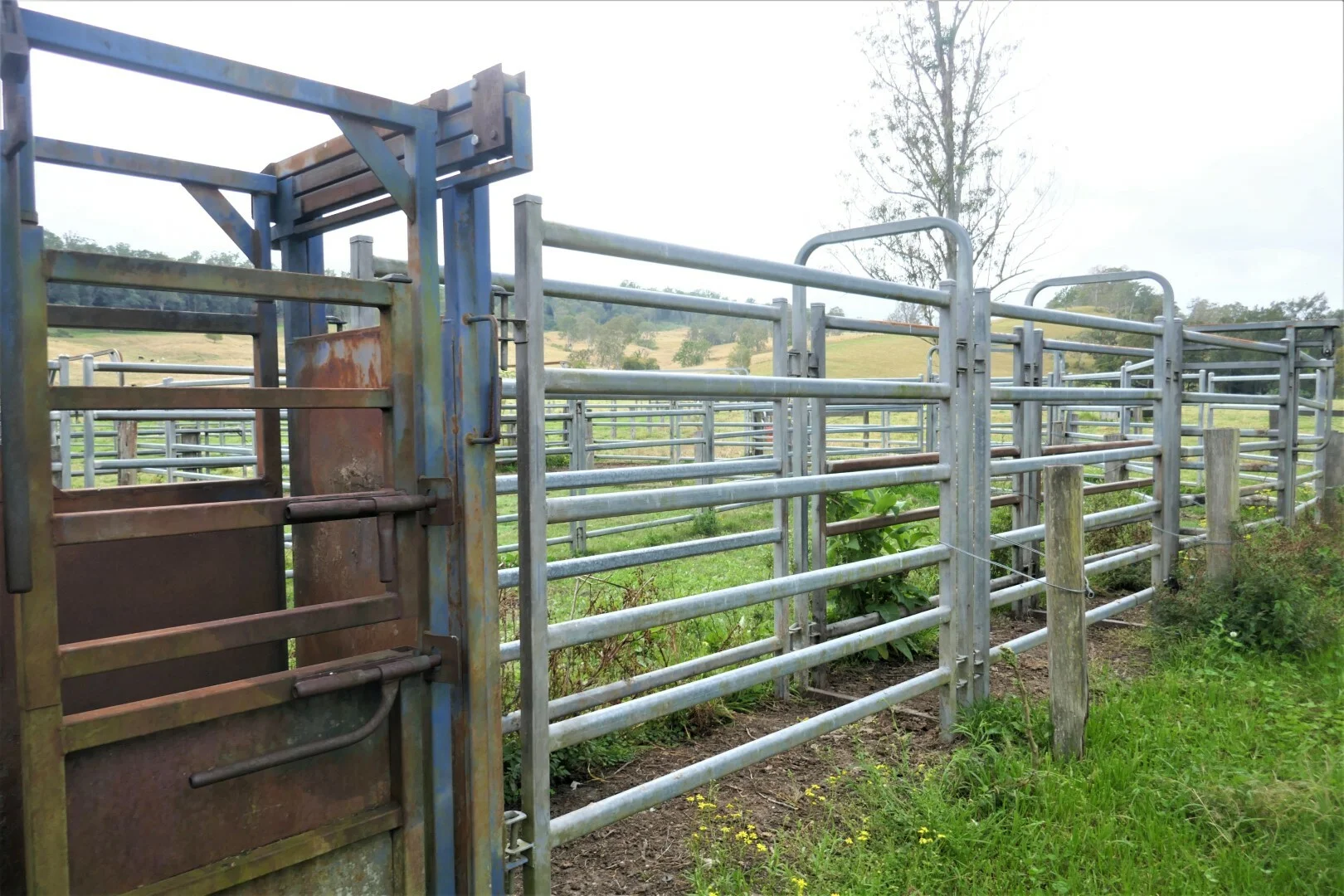 Additional image 7 of 35 Phelps Road, Kyogle NSW 2474