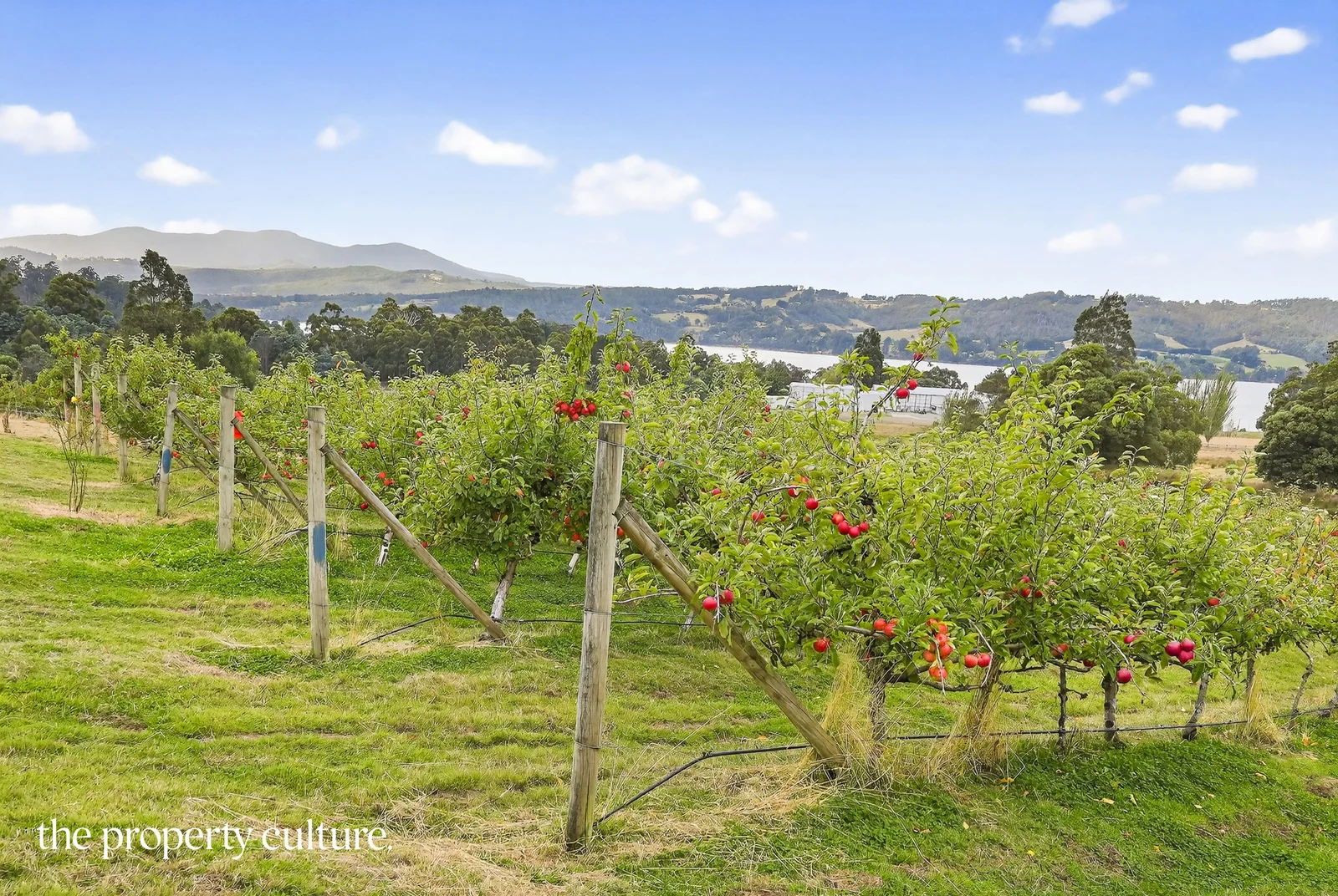 Additional image 24 of 25 Triffets Lane, Castle Forbes Bay TAS 7116