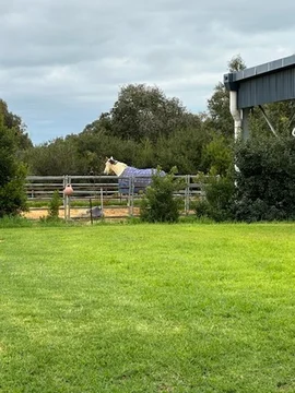 Image 30