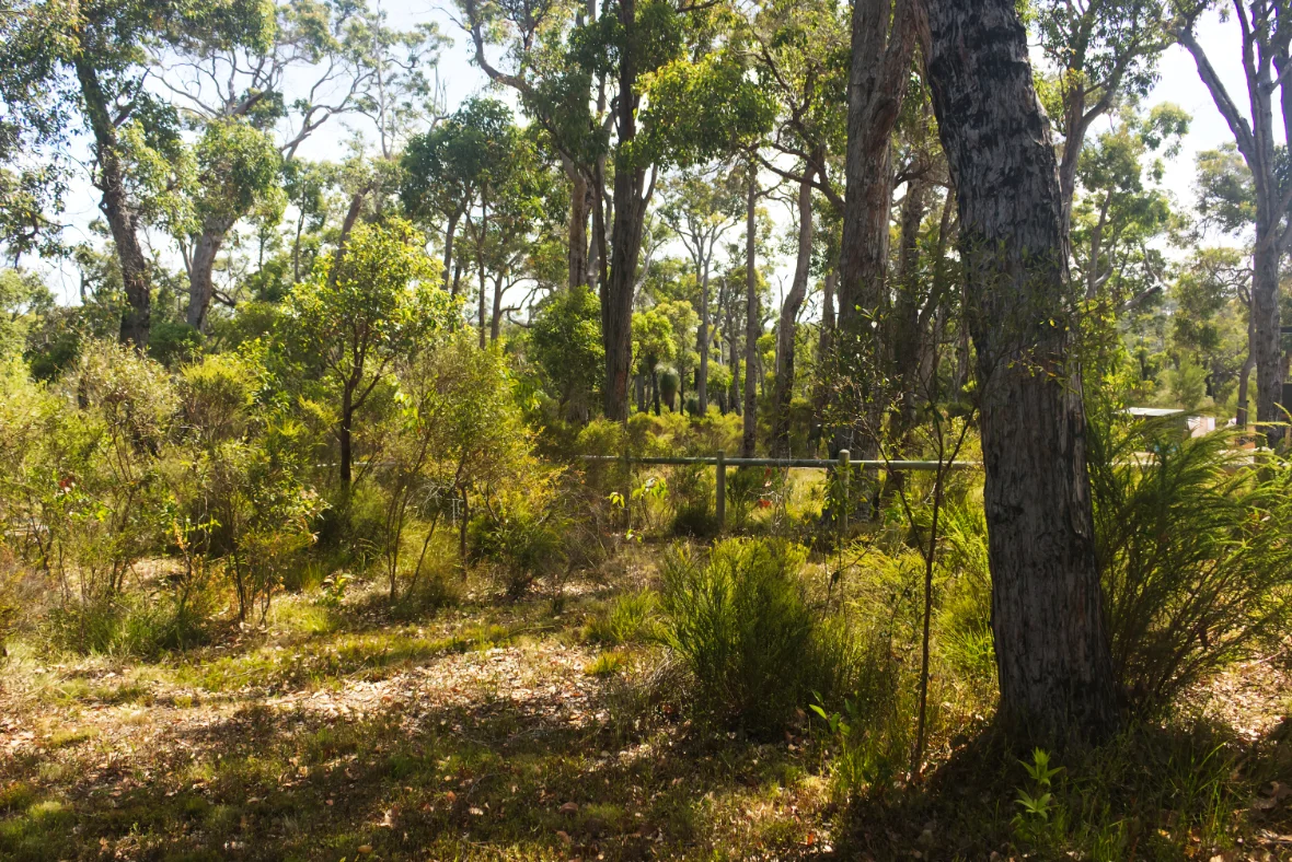 Additional image 2 of 80 Karri Street, Walpole WA 6398