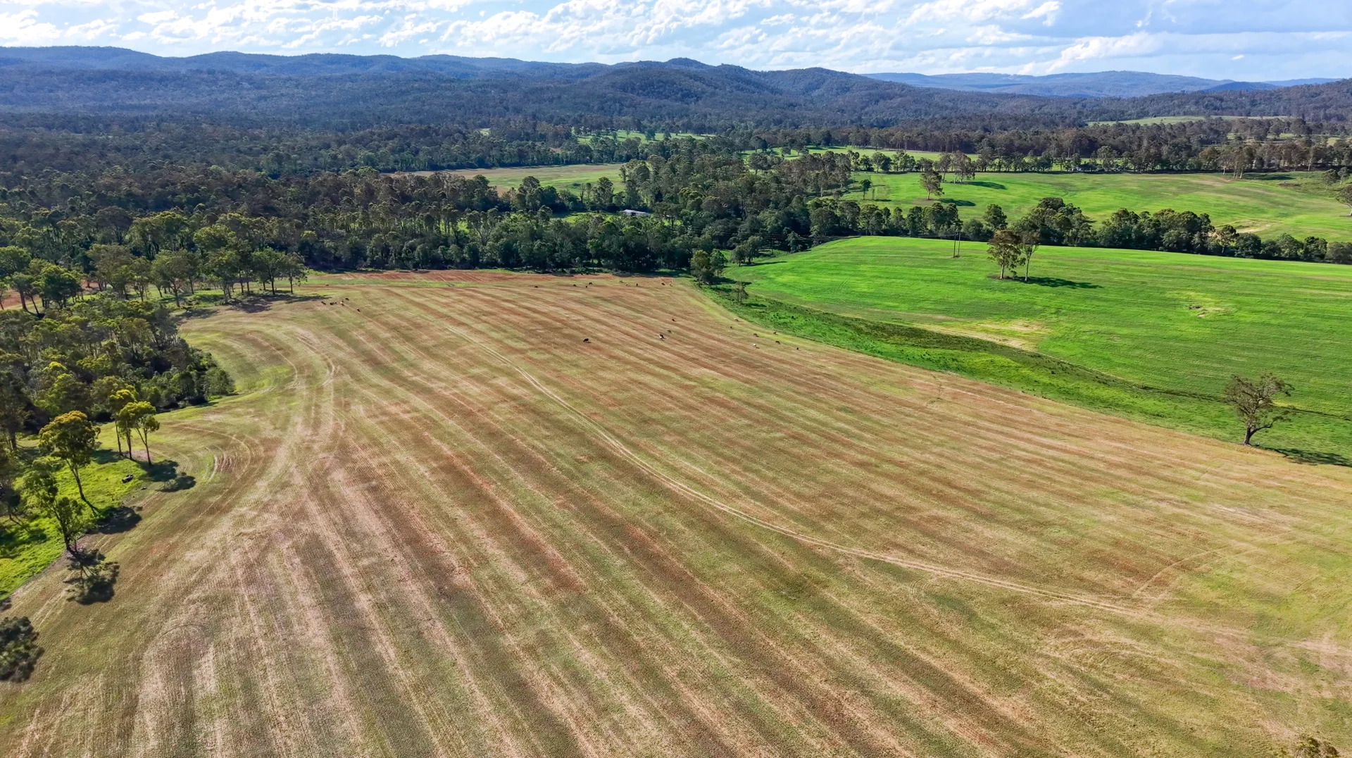 Additional image 5 of 119 Paddys Flat Road, Tabulam NSW 2469