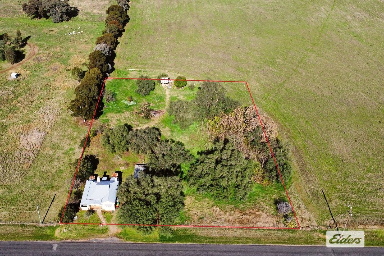 8 Florance Street, Cootamundra NSW 2590, Image 2