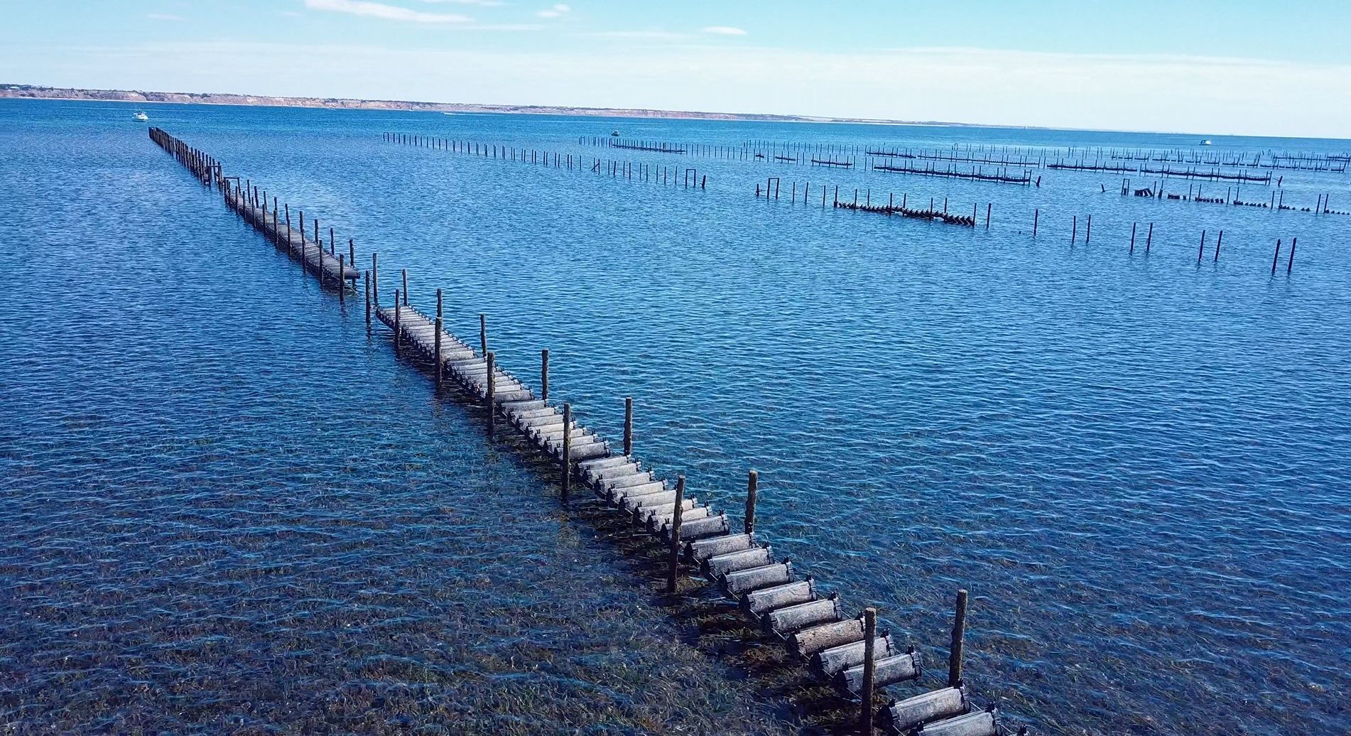 Port Vincent SA 5581 House for Sale Domain