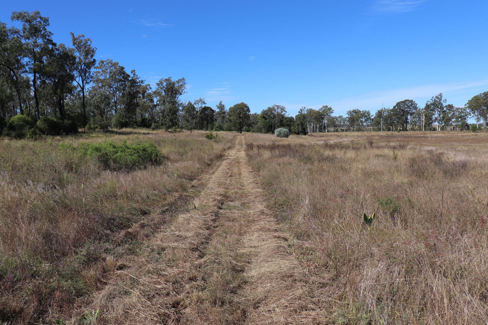 Lot 3 & 289 Lancasters Road, Merlwood, Murgon QLD 4605, Image 2