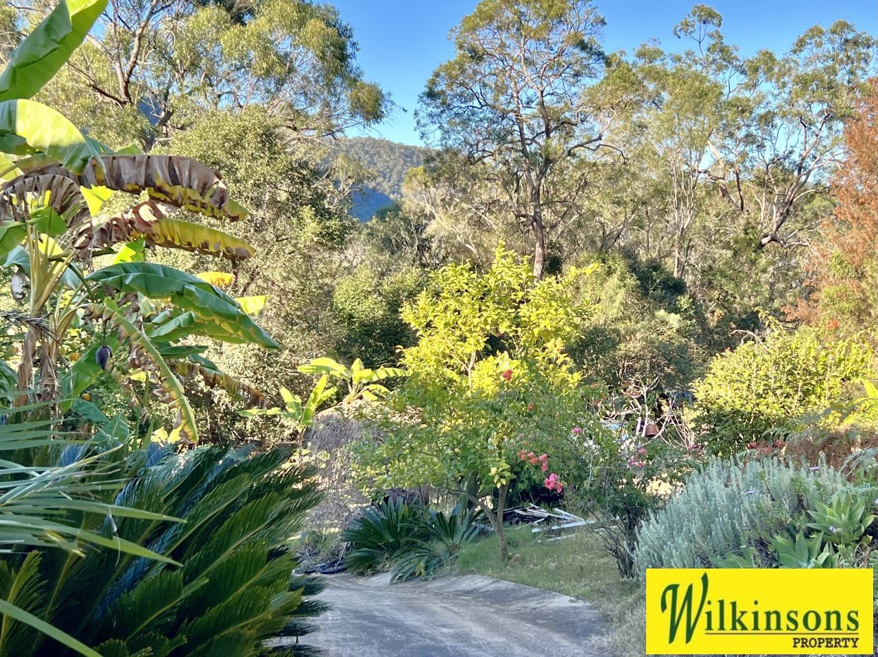 980 Singleton Road, Laughtondale NSW 2775 House for Sale Domain