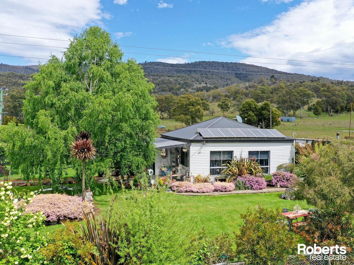 19 Bridge Road, Westerway TAS 7140 | Domain