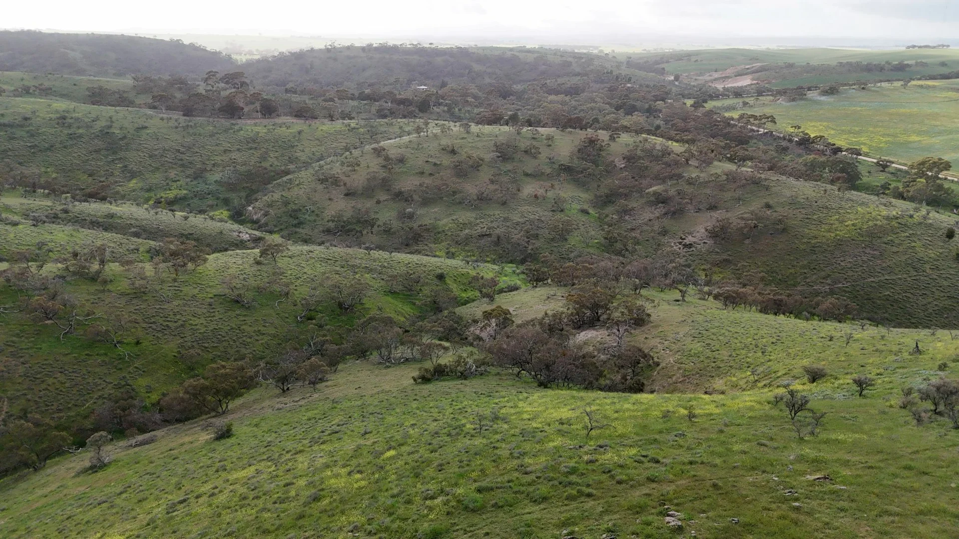 Additional image 11 of 'Crystal Valley' Talbots Road, Crystal Brook SA 5523