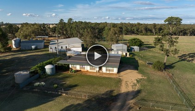 Picture of 635 Curries Lane, MILBRULONG NSW 2656