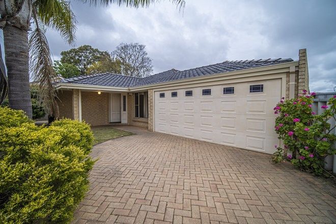 Picture of 9 Selwyn Place, RIVERVALE WA 6103