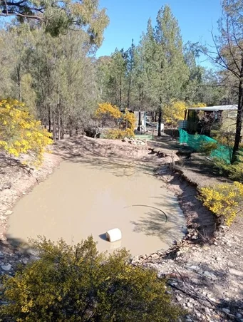 Additional image 6 of Tara QLD 4421