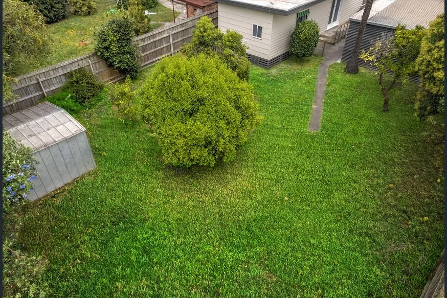 Image 13