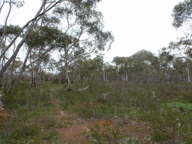 Lot 17 Reynolds Road, Greens Creek VIC 3381, Image 1