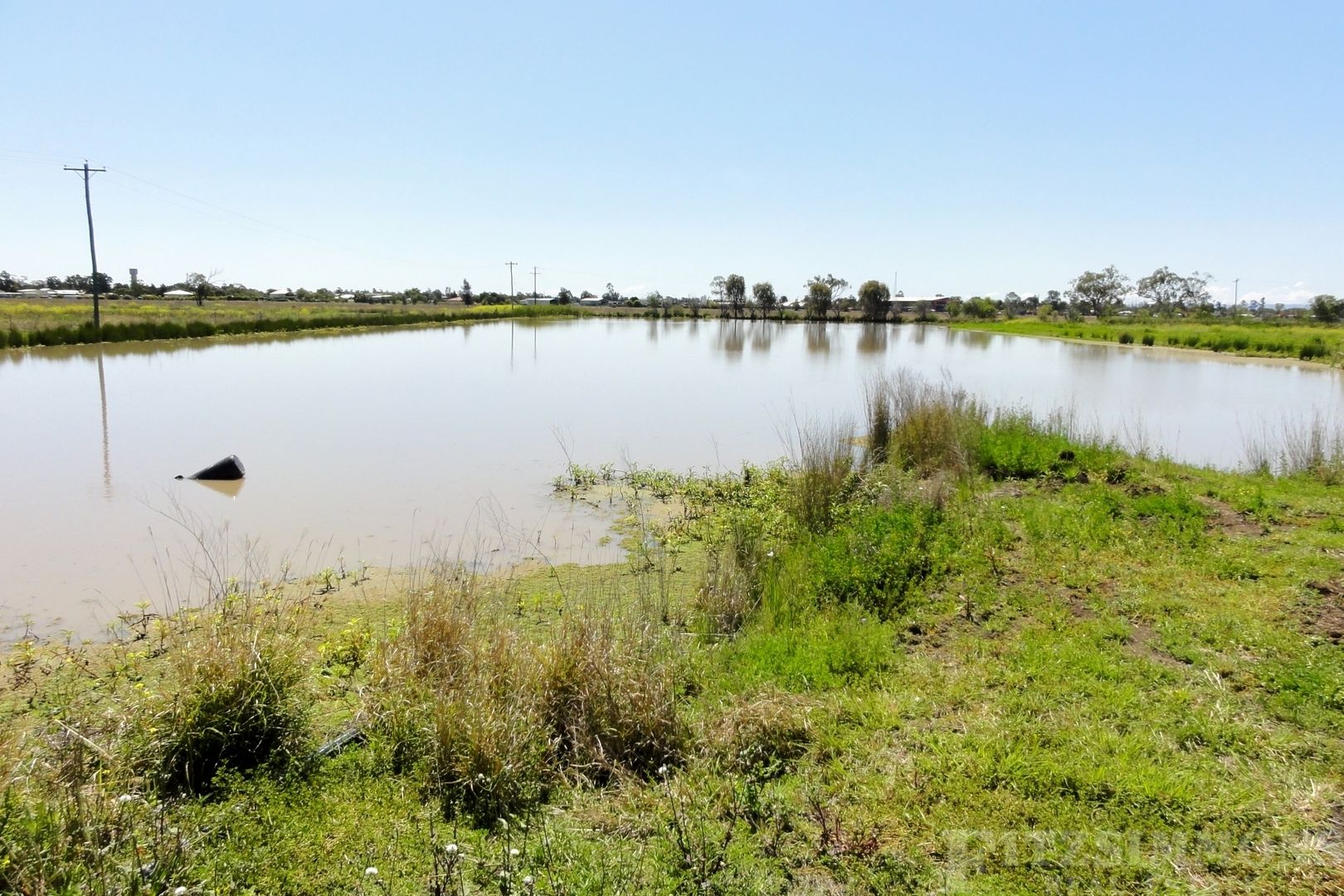 171 Sandalwood Avenue, Dalby QLD 4405 House for Sale Domain