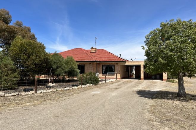 Picture of 918 Buccleuch South Road, SHERLOCK SA 5301