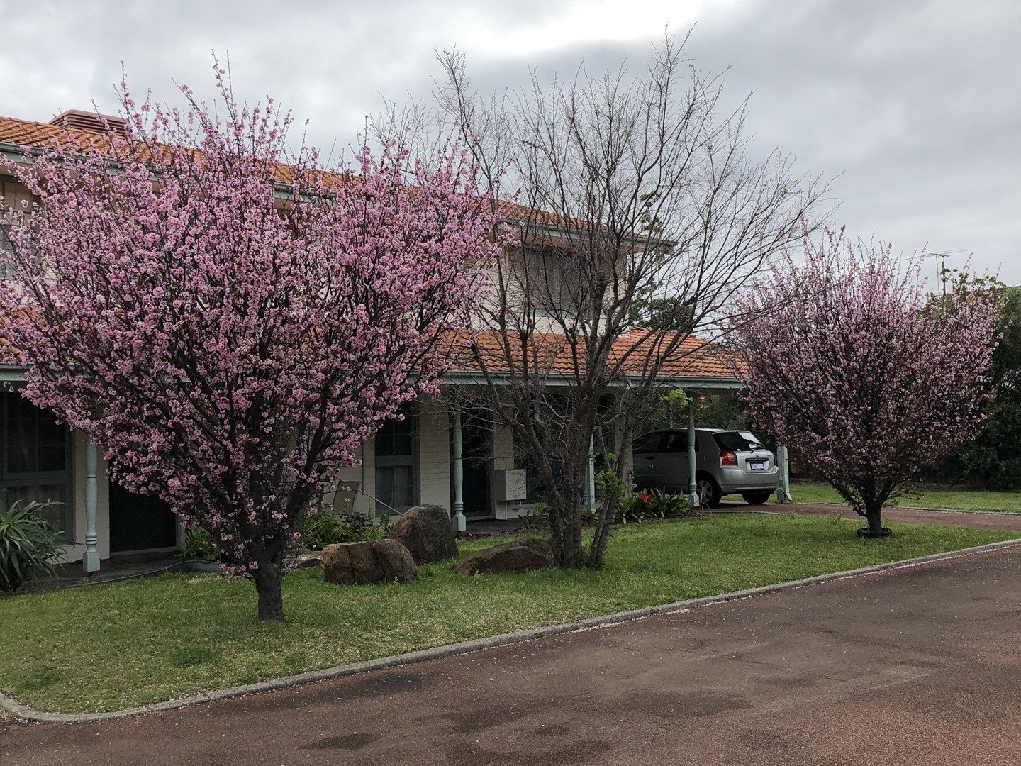 3 bedrooms House in 5/28 Strickland Street SOUTH PERTH WA, 6151