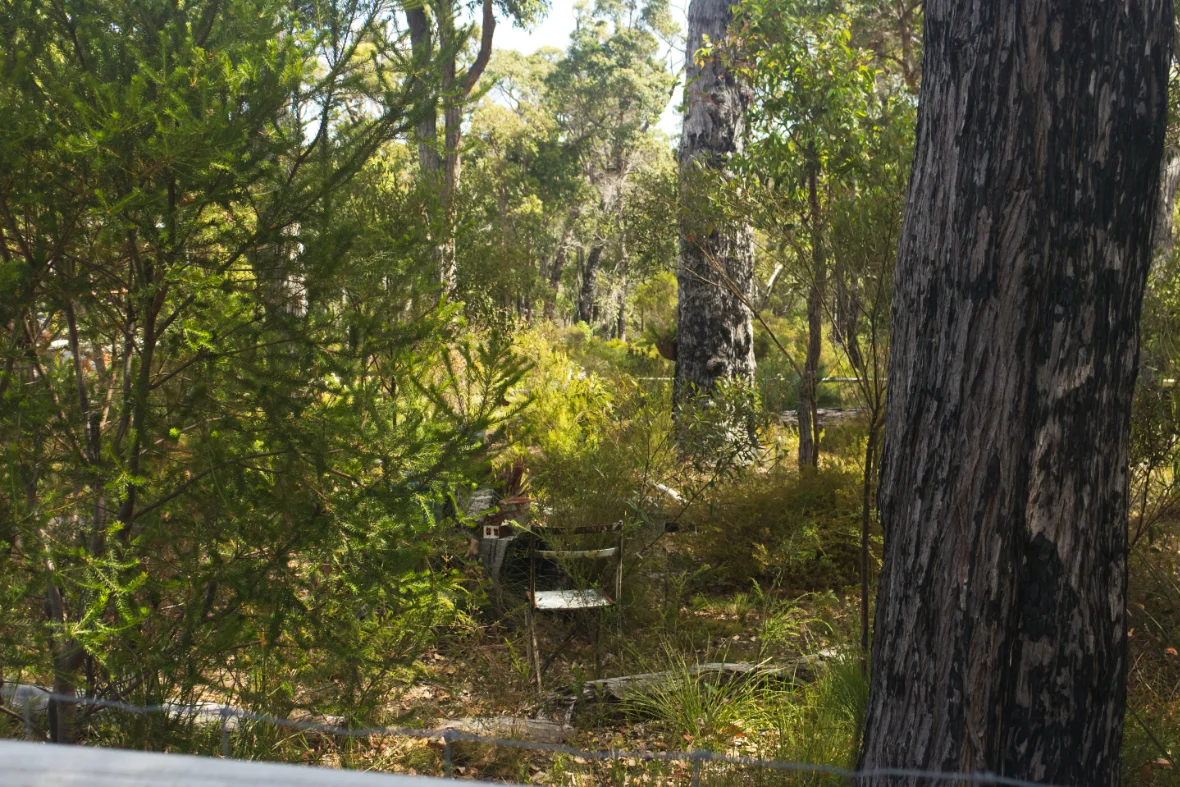 Additional image 10 of 80 Karri Street, Walpole WA 6398