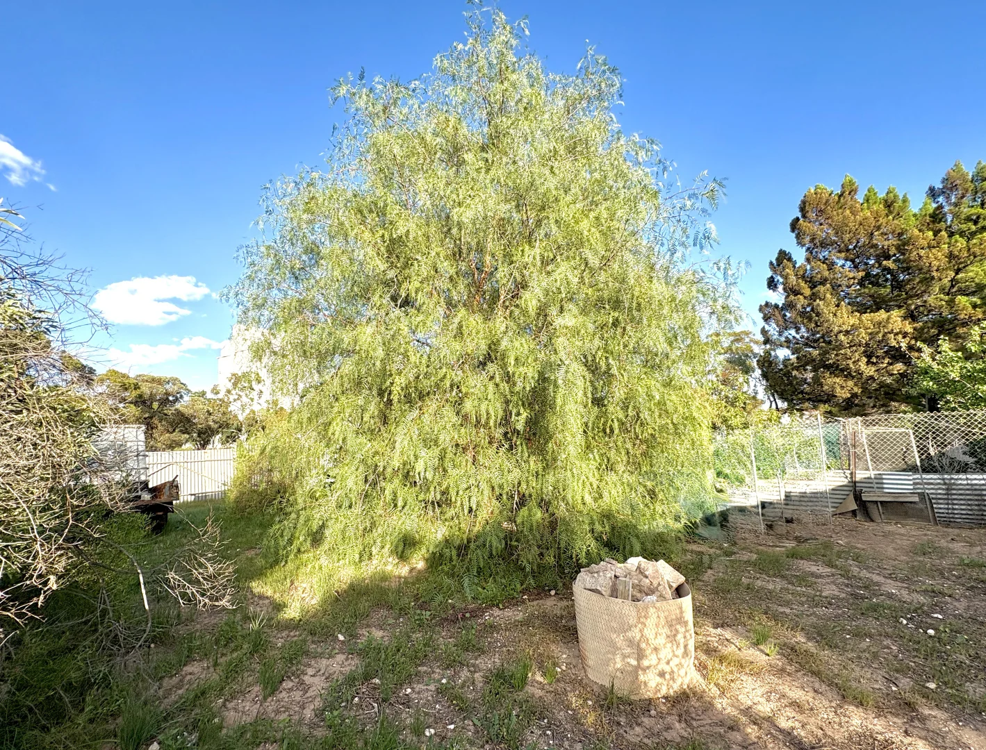 Image 31