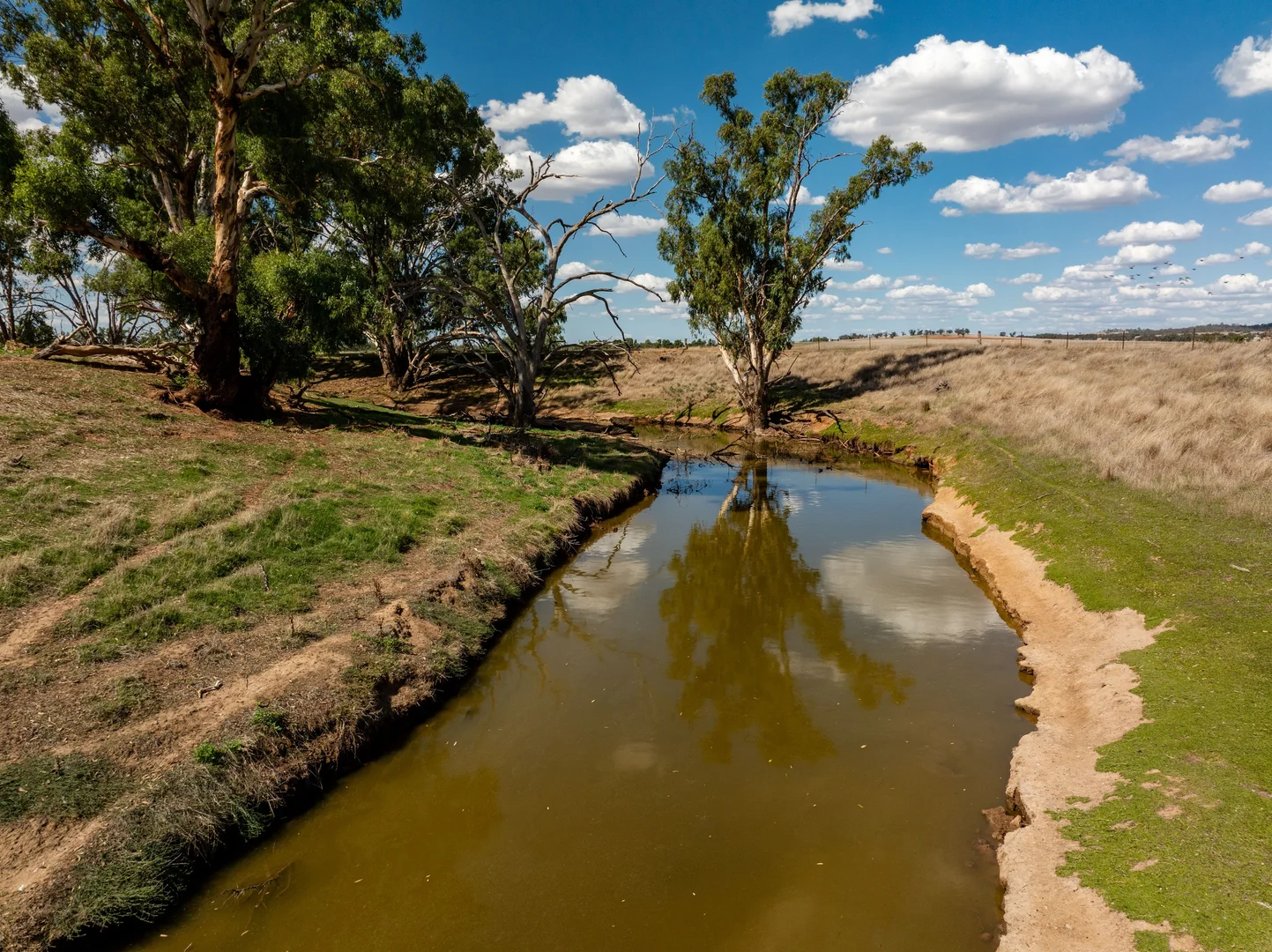 Additional image 2 of 326 Downside Road, Downside NSW 2650