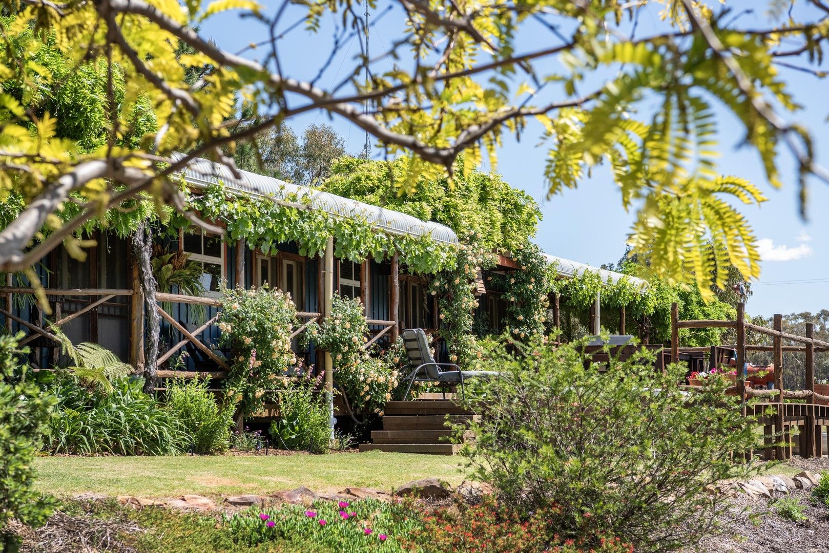 919 Spring Ridge Road, Gulgong NSW 2852 House for Sale Domain