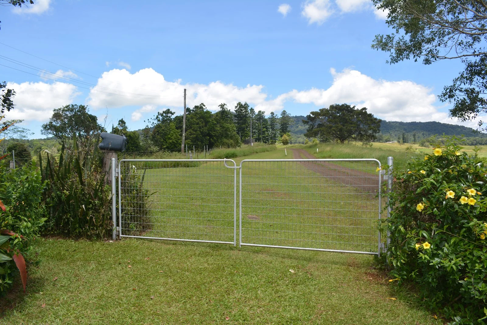 Image 43