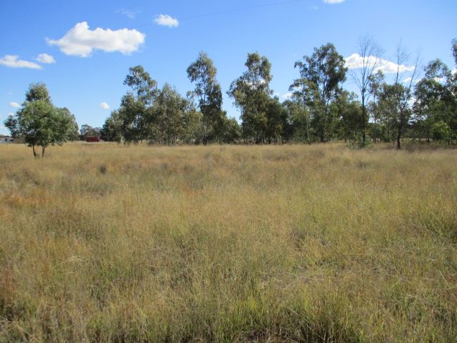 Lot 145 Kofoeds Road, Tara QLD 4421, Image 2