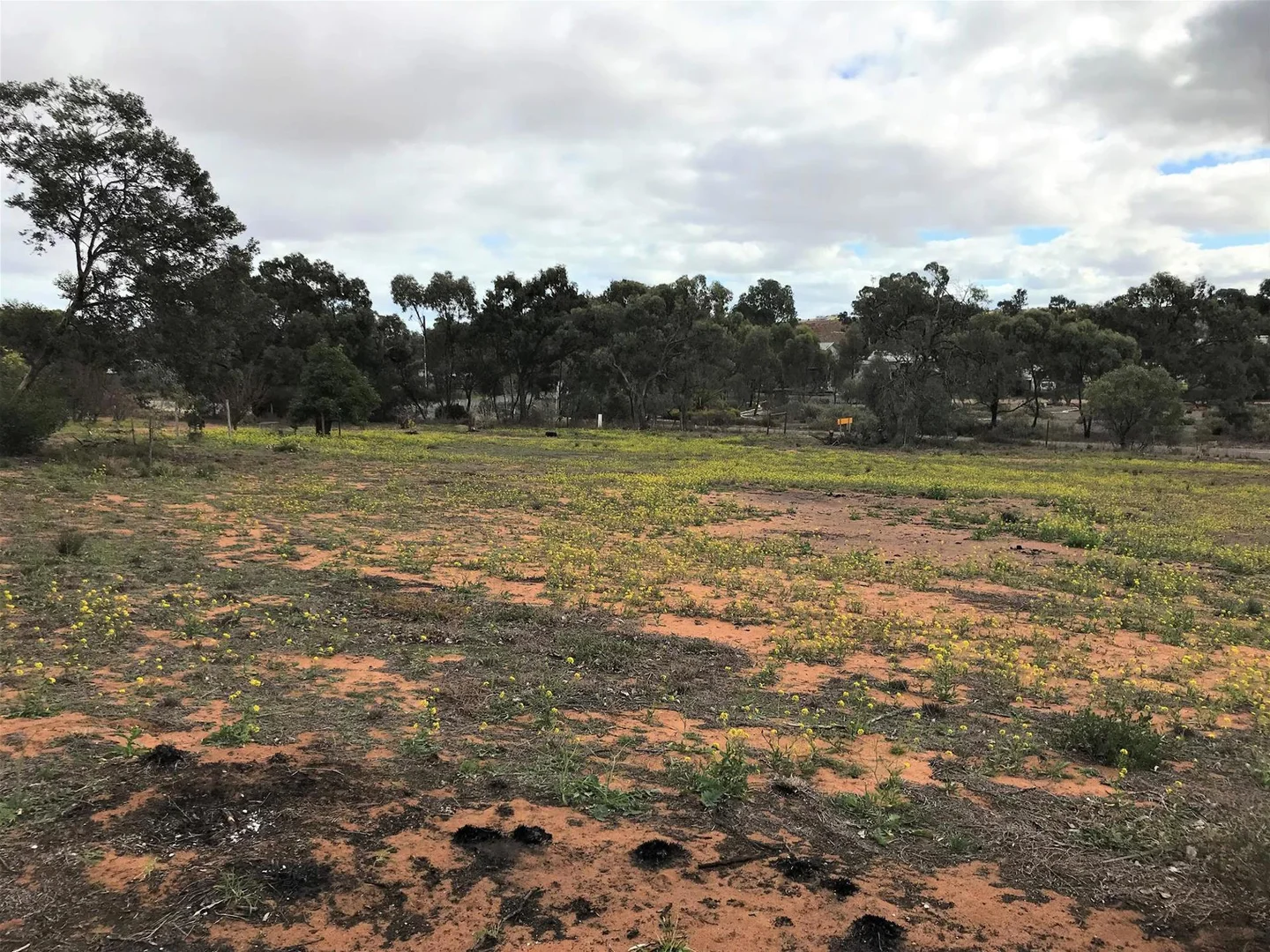 Image 15