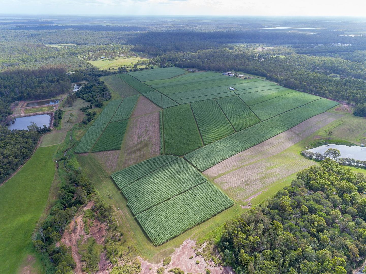 NRN Schmidts Road, North Isis QLD 4660, Image 1