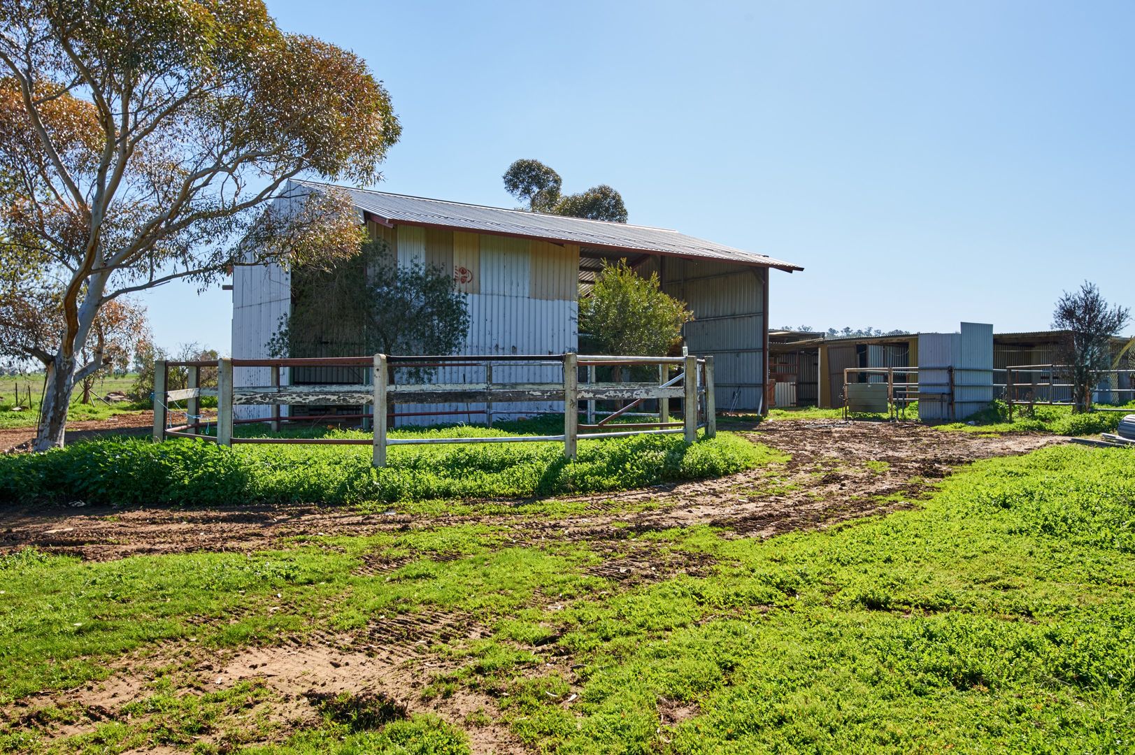 1509 Olympic Highway, Brucedale NSW 2650, Image 1