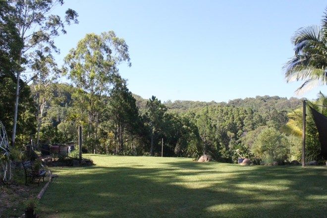 Picture of 909 Reserve Creek Road, RESERVE CREEK NSW 2484