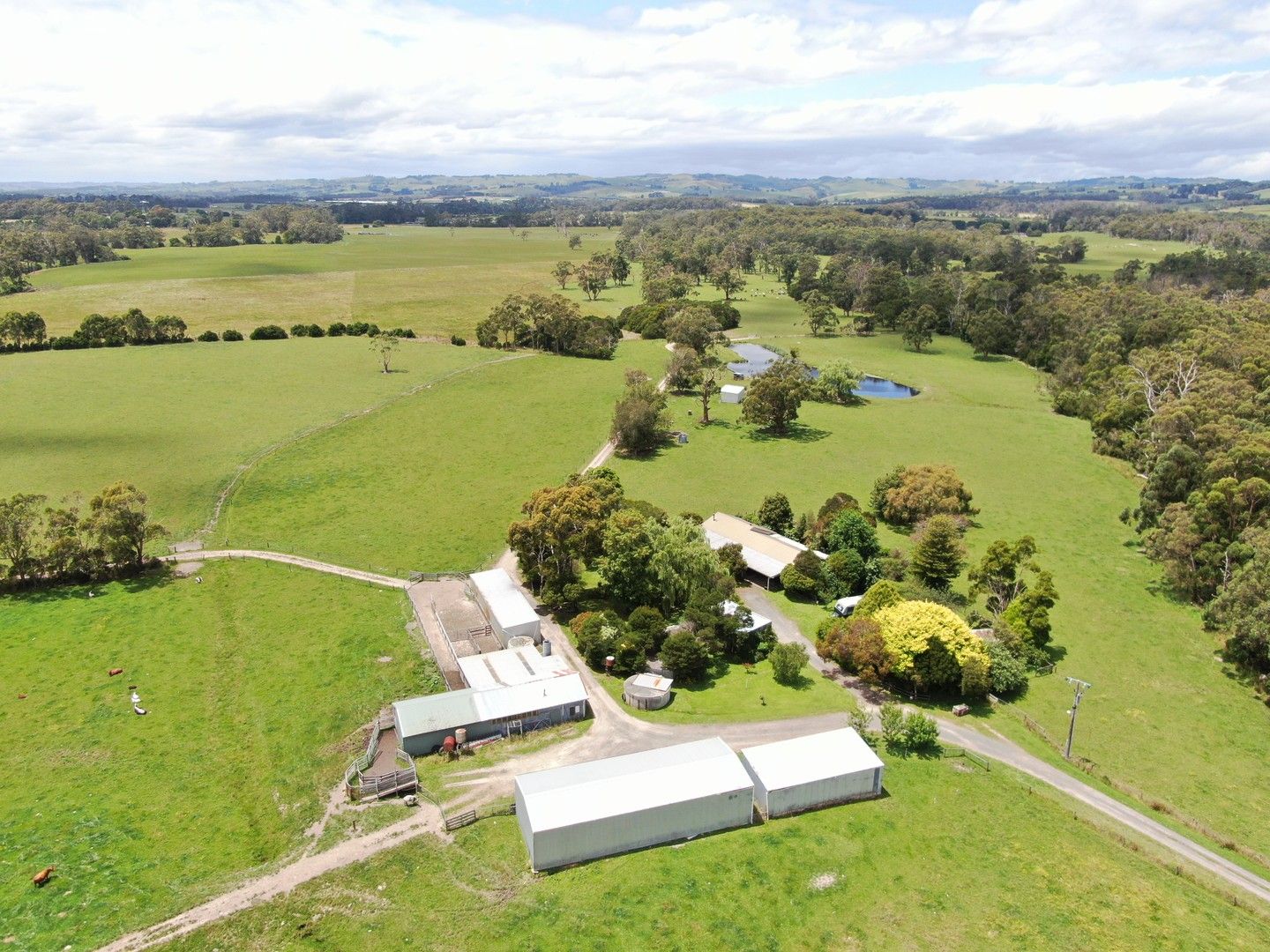 4 bedrooms Rural in 770 Buffalo-Stony Creek Road STONY CREEK VIC, 3957