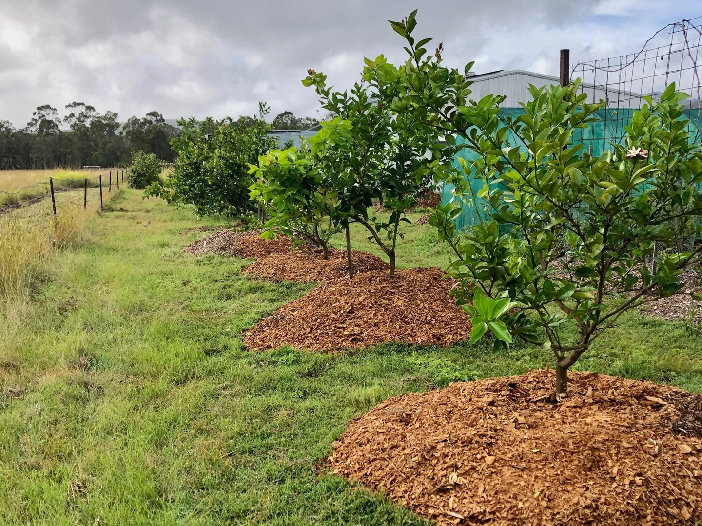 Additional image 35 of 84 Gordon Earl Drive, Millstream QLD 4888