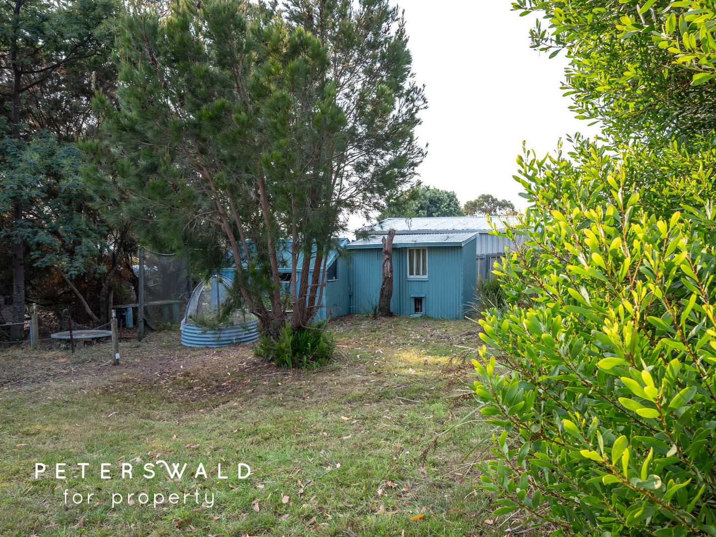 5 Skeggs Avenue, White Beach TAS 7184, Image 2