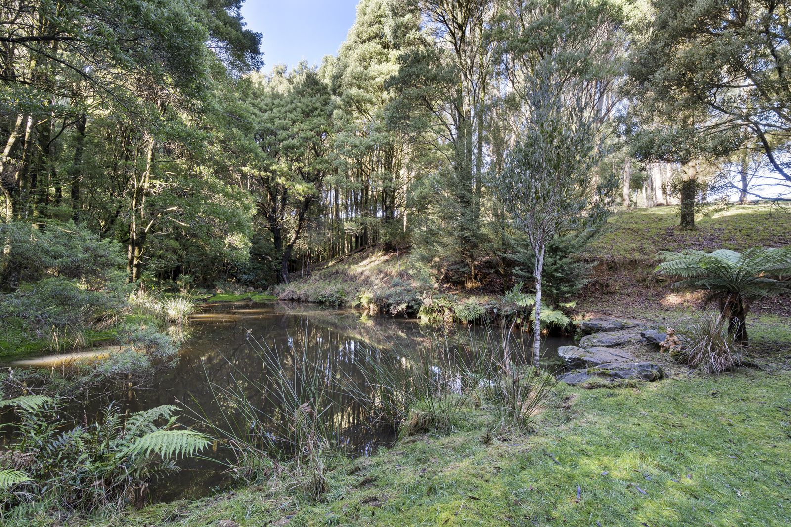 30 Dehnerts Track, Beech Forest VIC 3237, Image 2
