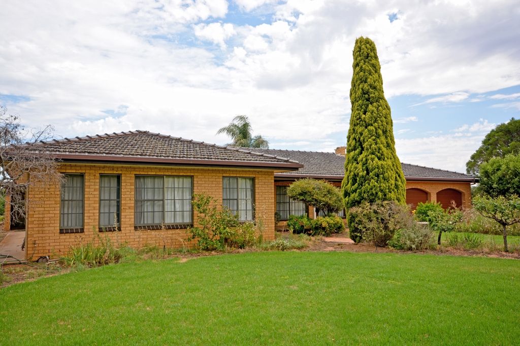 44 Murray Road, Yoogali NSW 2680, Image 0