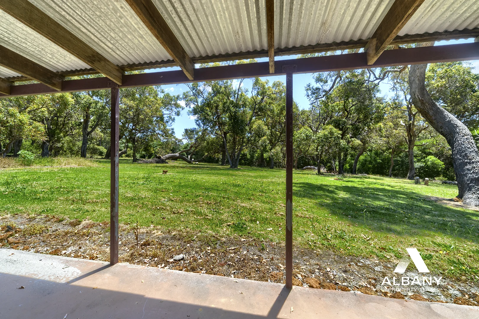 Image 11