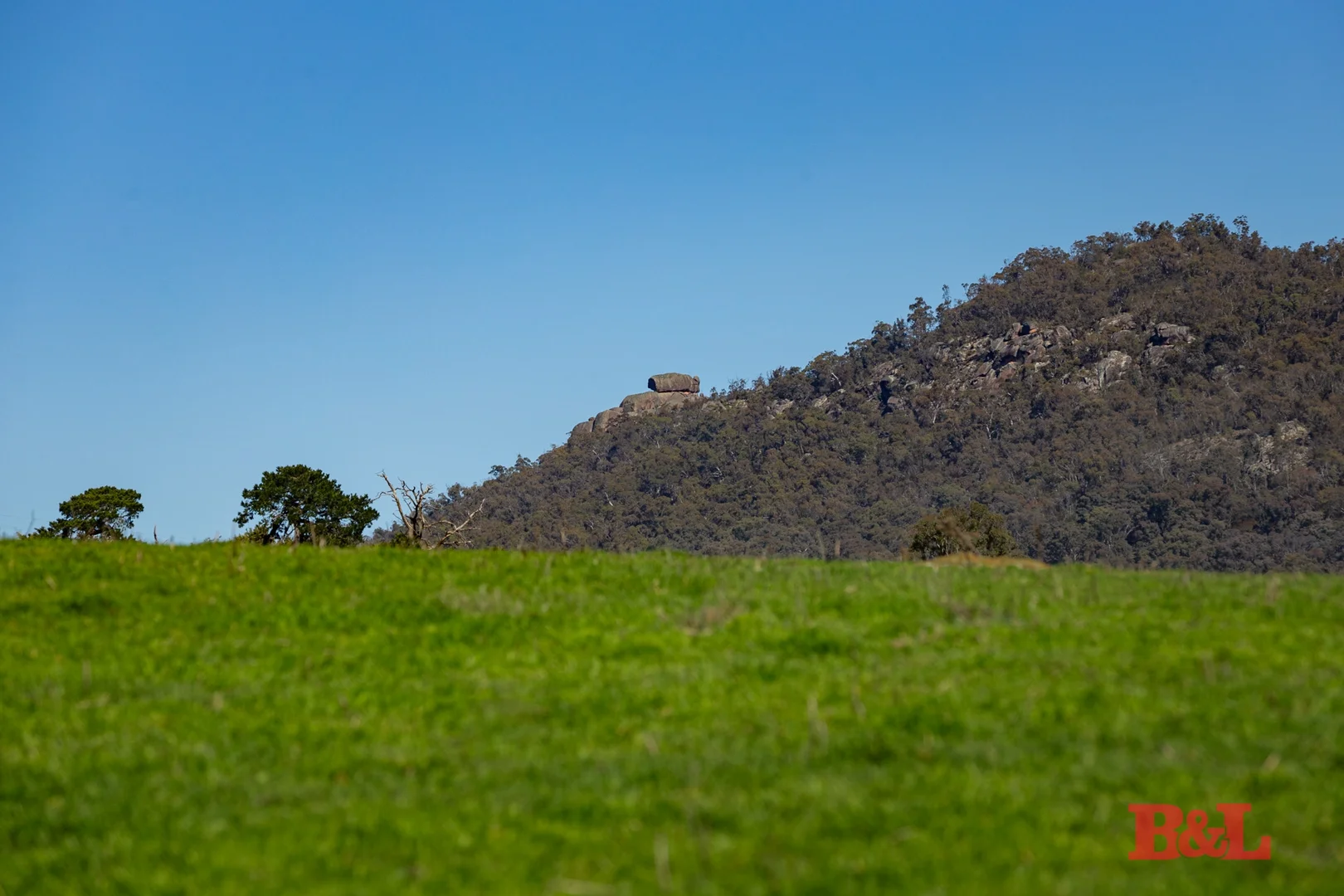 Image 10