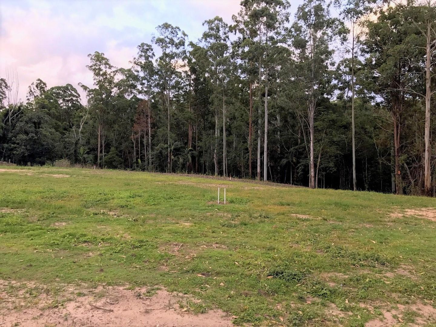 Lot 9 Songbird Place, Mooloolah Valley QLD 4553, Image 1