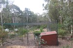 Image 23