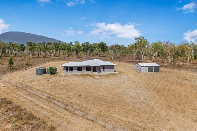 Picture of 203 Webb Road, MAJORS CREEK QLD 4816