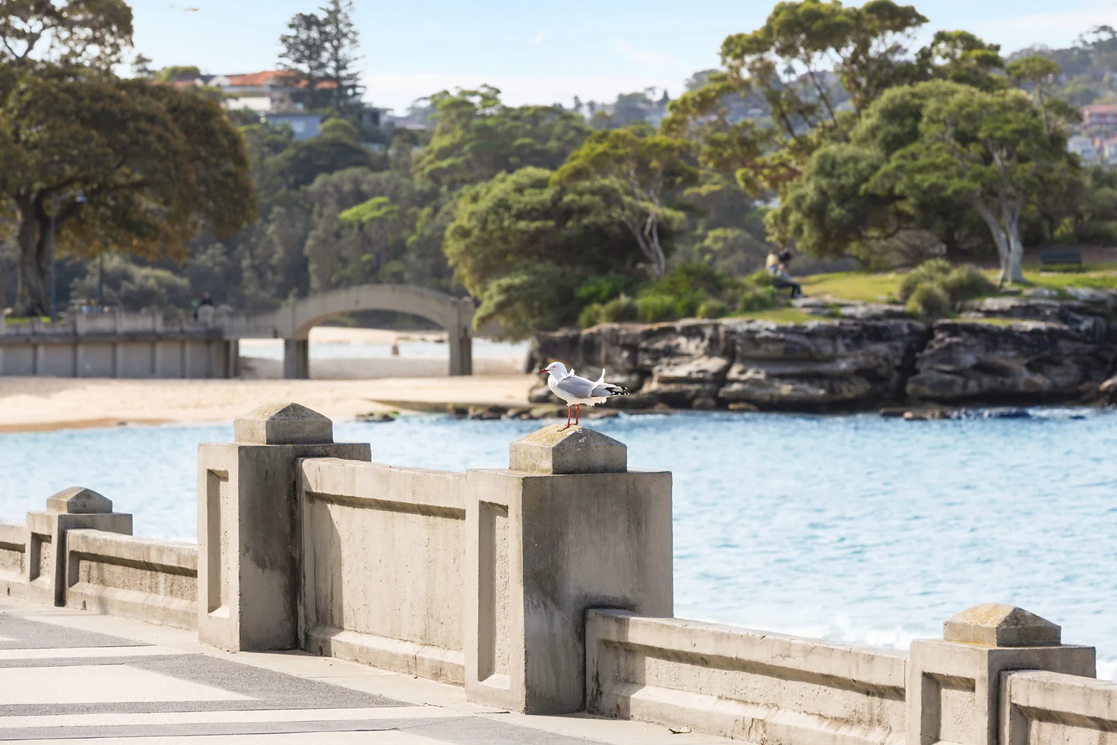 Additional image 14 of 9/238 Raglan Street, Mosman NSW 2088