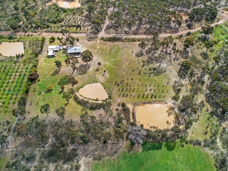 26 Hakea Court, Heathcote VIC 3523, Image 2