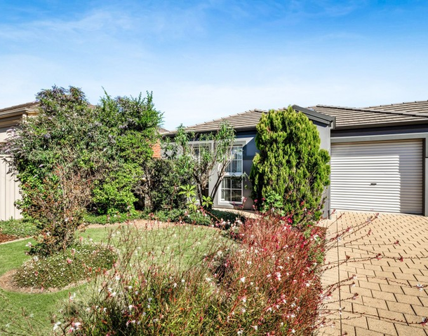 11 Lynmouth Avenue, North Brighton SA 5048