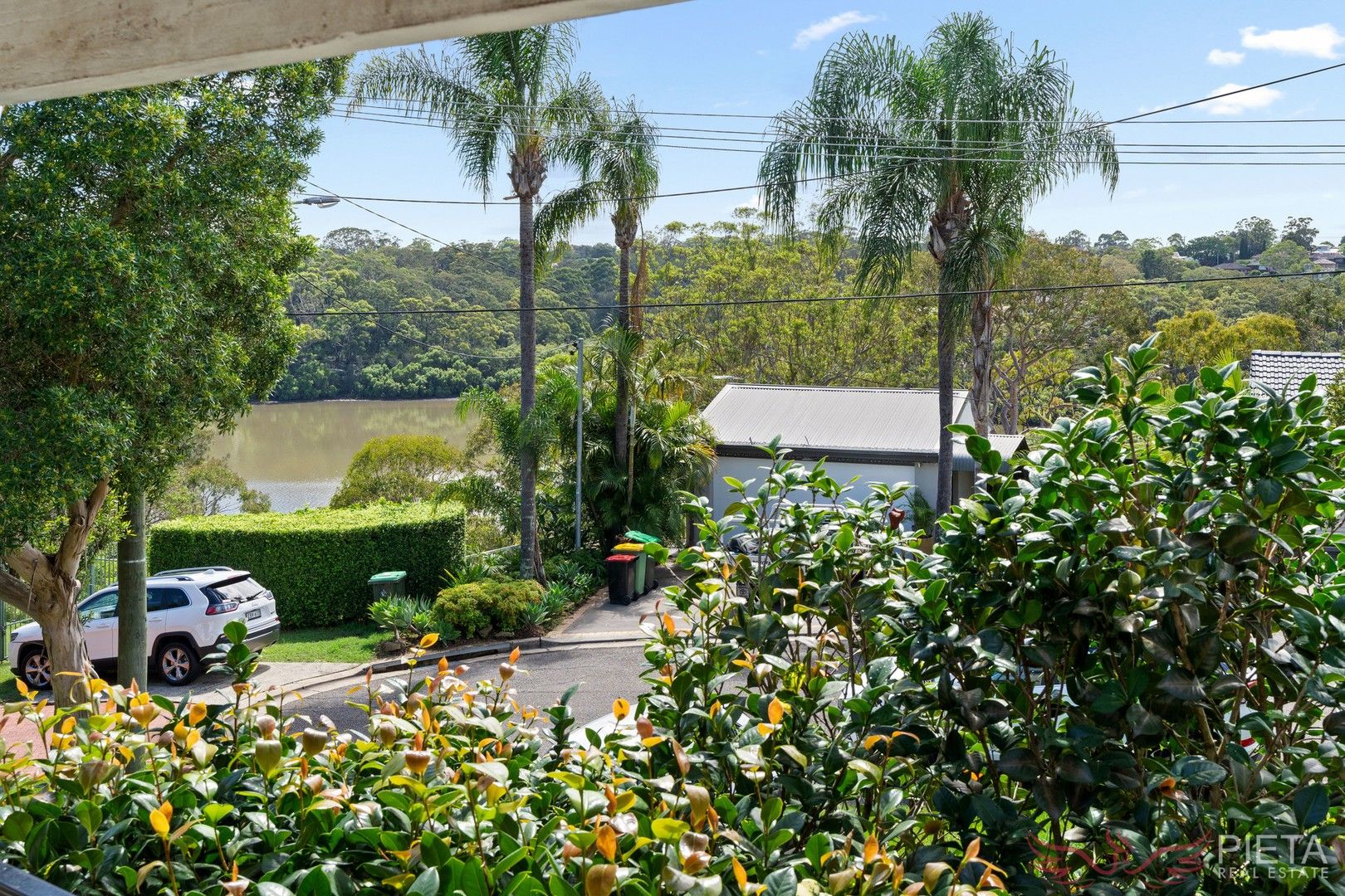 22 Raftree Street, Padstow Heights NSW 2211 House For Rent Domain