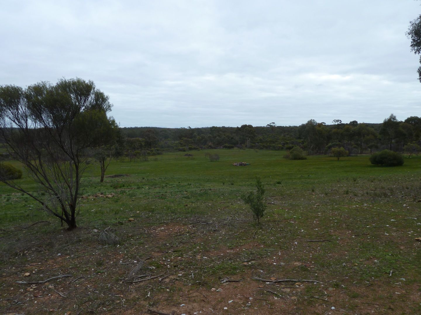 Lot 6 Boort-Wedderburn Road, Wedderburn VIC 3518, Image 1