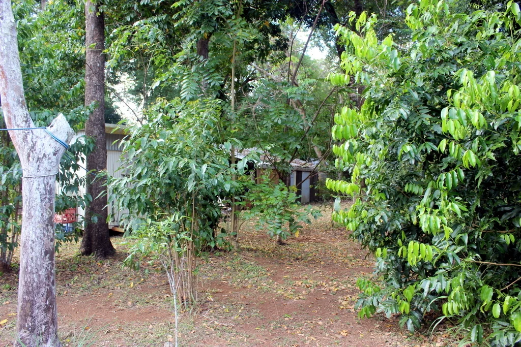 Image 21