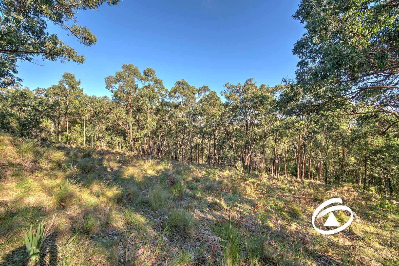 Lot 1 Borchardt Street, Guys Hill VIC 3807, Image 1