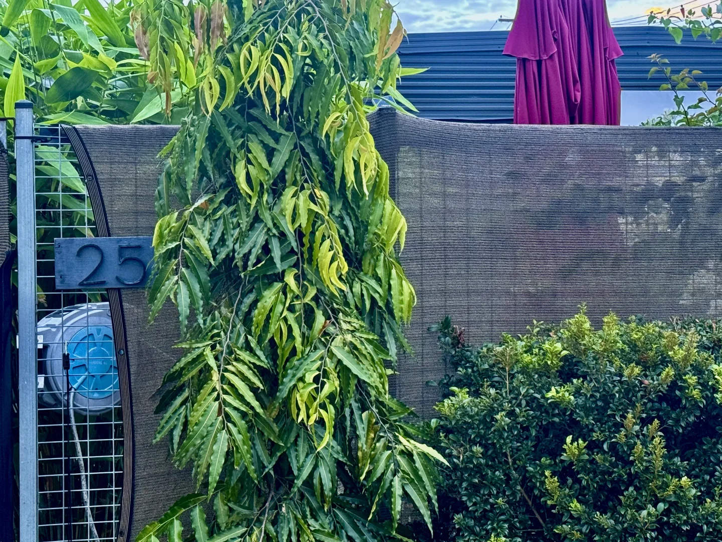 Additional image 2 of 25 Bowling Green Street, Brandon QLD 4808